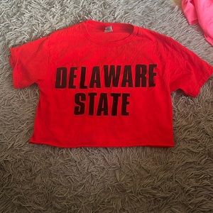 Red and blue dots Delaware State University homemade cropped baby tee, size M